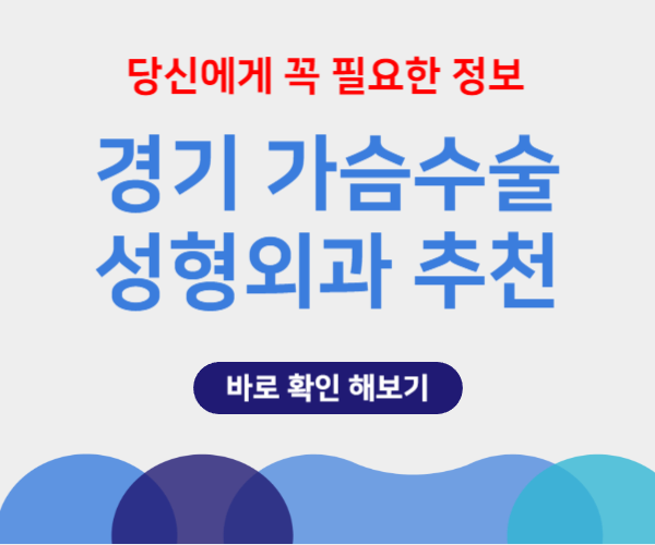 경기 가슴 성형수술 비용