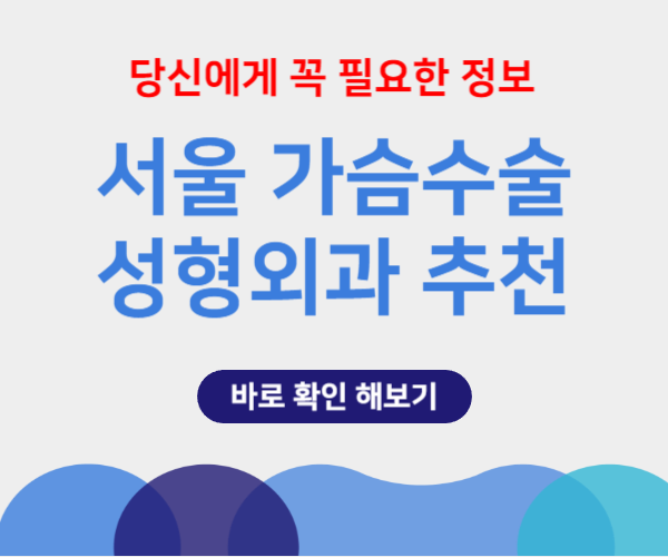 서울 가슴 성형수술 가격