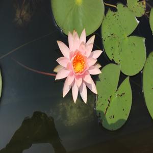 전문가상담