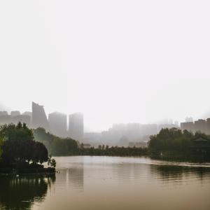 수면의-질