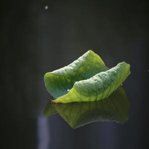 불면증